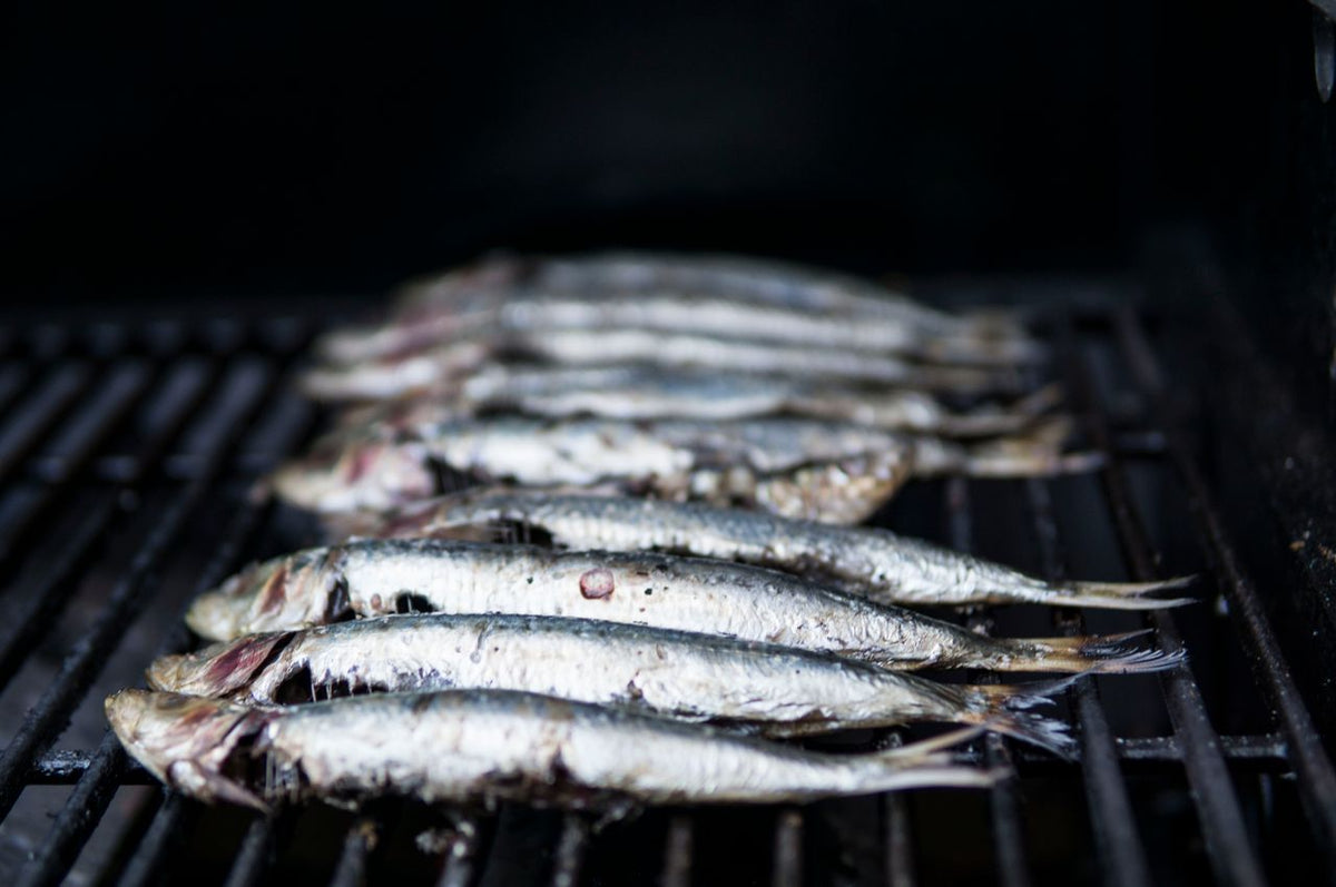 What Do Sardines Eat? Their Diet Is the Whole Reason to Eat Them